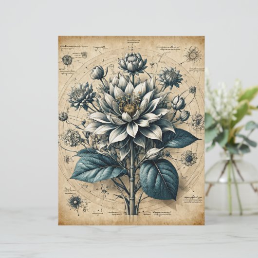 Decompage – 羊毛の白い花 (スタンド正面)