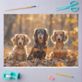 Decopage秋設定Dachshunds紅葉 薄葉紙 (クラフト)