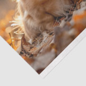 Decopage秋設定Dachshunds紅葉 薄葉紙 (詳細)