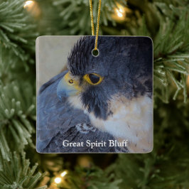 Decorah North：再建と再生の年 セラミックオーナメント