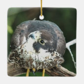 Decorah North：再建と再生の年 セラミックオーナメント (裏面)