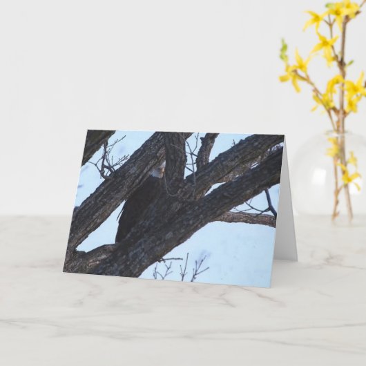 Decorah North Eagles：オオカミの月 カード (黄色い花)