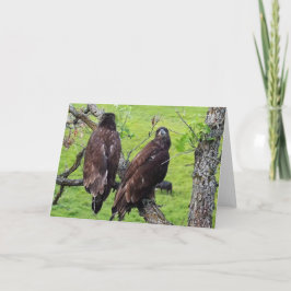 Decorah North Eagles：ストロベリームーン カード