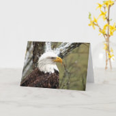 Decorah North Eagles：ビーバームーン カード (黄色い花)