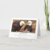 Decorah North Eagles:ピンクの月 カード (裏面)