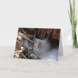 Decorah North Eagles：ピンクの月 カード