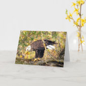 Decorah North Eagles：収穫月 カード (黄色い花)