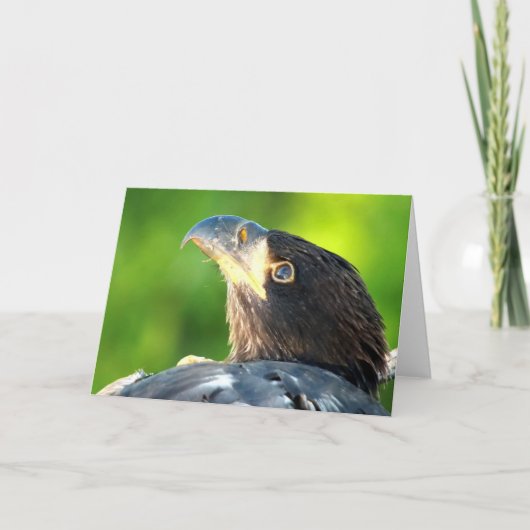 Decorah North Eagles：花の月 カード (正面)