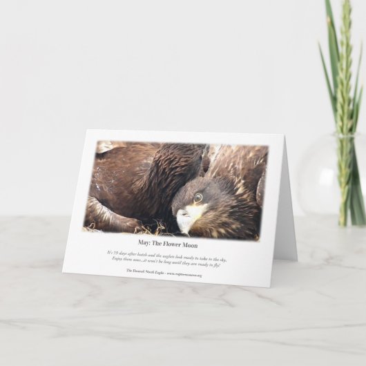 Decorah North Eagles：花の月 カード (裏面)