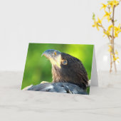 Decorah North Eagles：花の月 カード (黄色い花)