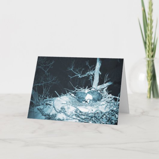 Decorah North Eagles：雪の月 カード (正面)