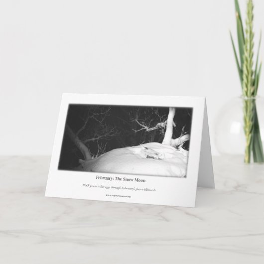 Decorah North Eagles：雪の月 カード (裏面)