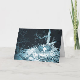 Decorah North Eagles：雪の月 カード