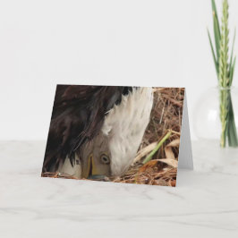 Decorah North Eagles: The Worm Moon カード