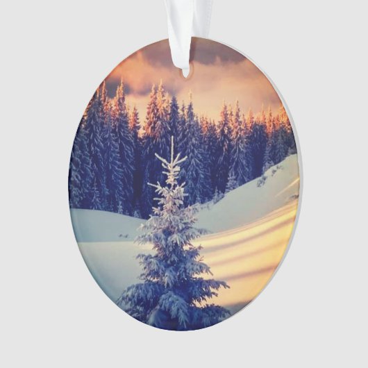 Décoration sapin de noël  オーナメント (正面)