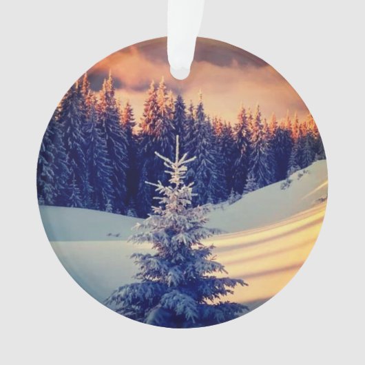 Décoration sapin de noël  オーナメント (正面)