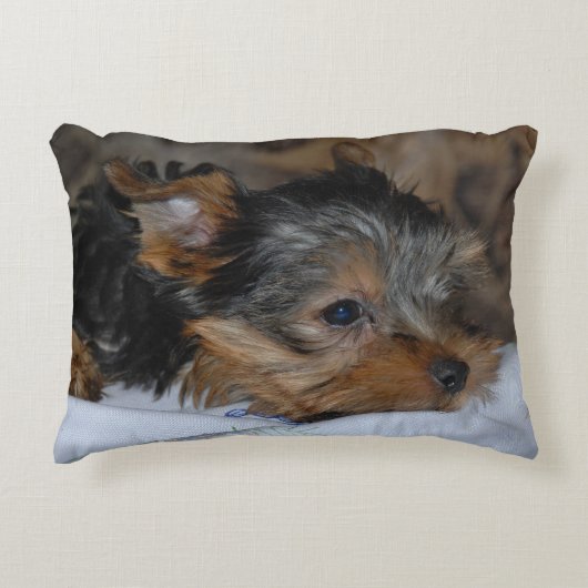 decorative cushion with a little dog アクセントクッション (正面)