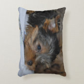 decorative cushion with a little dog アクセントクッション (正面(垂直))
