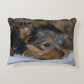decorative cushion with a little dog アクセントクッション (裏面)