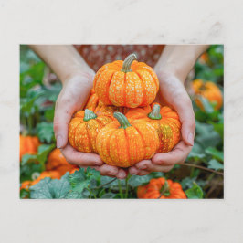 Decorative Pumpkin Harvest Close-Up シーズンポストカード