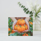 Decorative Pumpkin Harvest Close-Up シーズンポストカード (スタンド正面)