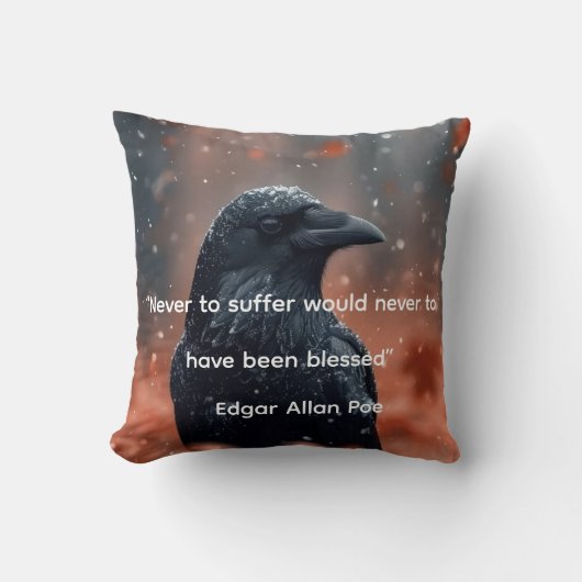 Decorative throw pillow by Sommer Hamilton クッション (正面)