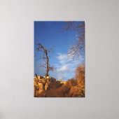 decorative wall art  キャンバスプリント (正面)