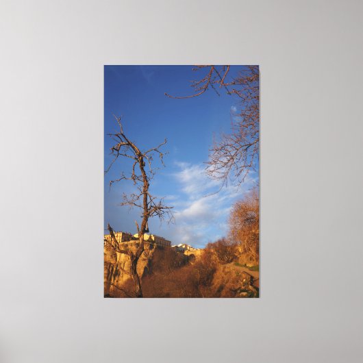 decorative wall art  キャンバスプリント (正面)