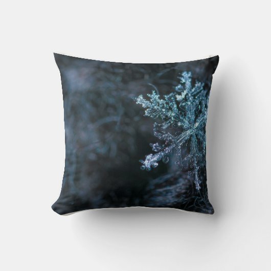 Decorative Winter Pillow クッション (正面)