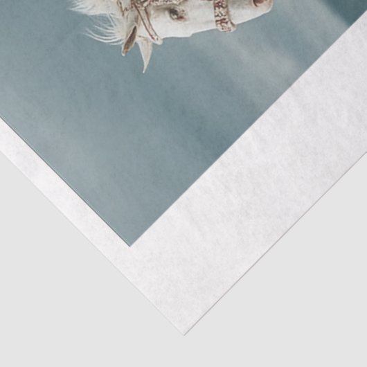 Decoupage 12x16 Native American Indian Designs  薄葉紙 (詳細)