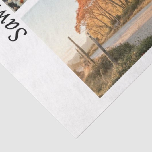 Decoupage 26x6" Handsaw Rustic Wall Art Designs  薄葉紙 (詳細)