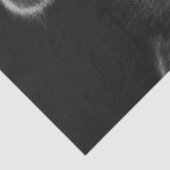 Decoupage 3 Raccoons Peeking Out Barn Door 薄葉紙 (詳細)