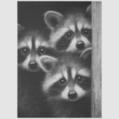 Decoupage 3 Raccoons Peeking Out Barn Door 薄葉紙 (正面)