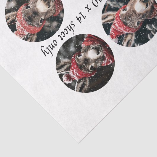 Decoupage 3" Snow Globe Moulds Whimsical Donkeys 薄葉紙 (詳細)