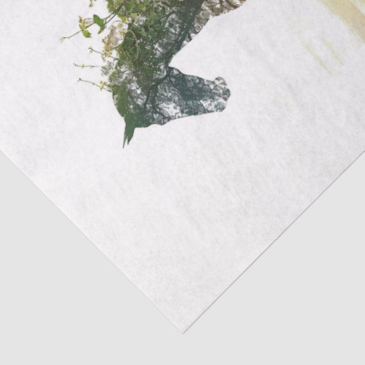 Decoupage 4 Horse Designs Fit 8x10 Canvas  薄葉紙 (詳細)