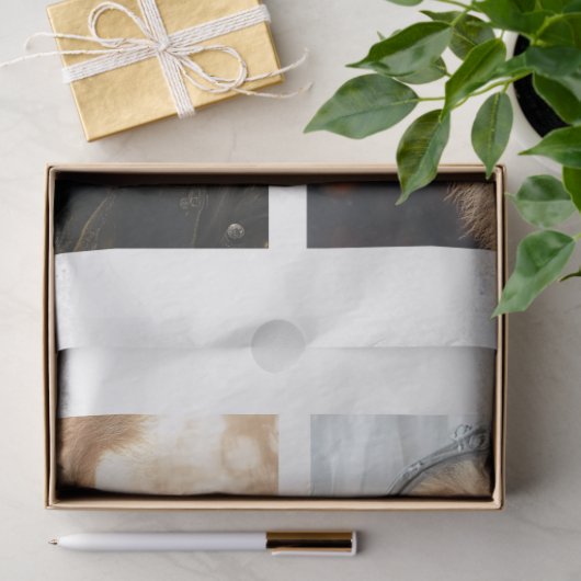 Decoupage 4 Lions Papers Fits 8 x 10 Canvas 薄葉紙 (ギフト)