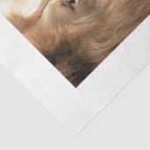 Decoupage 4 Lions Papers Fits 8 x 10 Canvas  薄葉紙 (詳細)