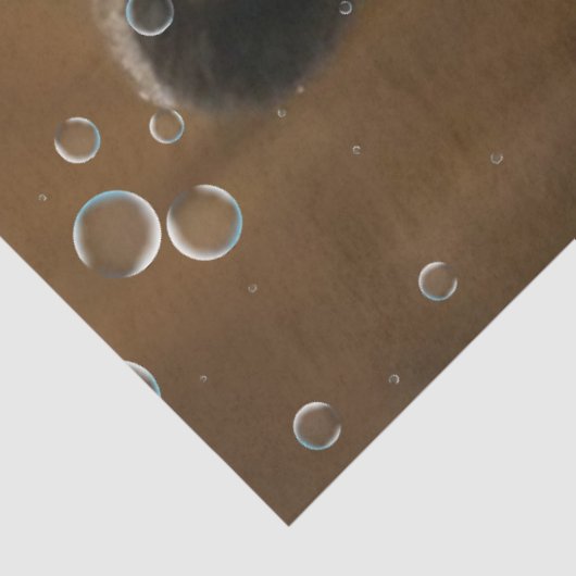 Decoupage Black Bear Tub Bubbles Rubber Duck  薄葉紙 (詳細)