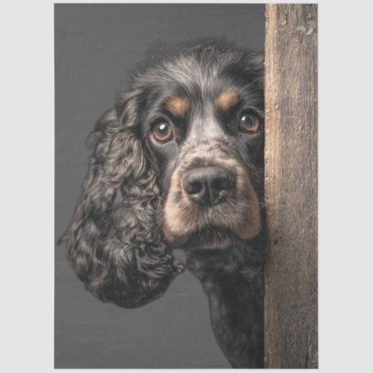 Decoupage Black Brown Cocker Spaniel Sadie 薄葉紙 (正面)