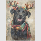 Decoupage Black Lab Christmas Lights Antlers 薄葉紙 (正面)