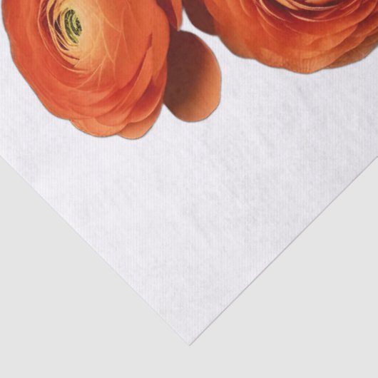 Decoupage Botanical Bloom 薄葉紙 (詳細)