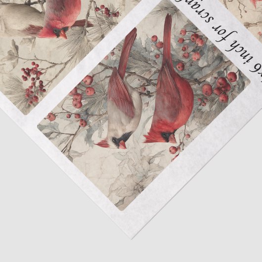 Decoupage Cardinal Panels 4x6" & 4 Designs 薄葉紙 (詳細)