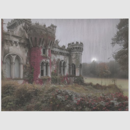Decoupage Castle OF The Whispering Ivy In Ireland 薄葉紙 (正面)