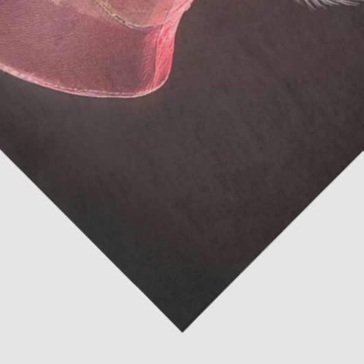 Decoupage Chameleon Rock Fur Feather Funk Band 薄葉紙 (詳細)