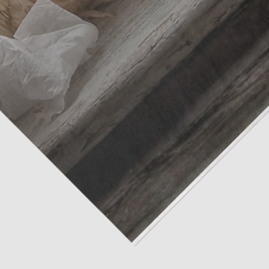 Decoupage Chicken Window Seat Tissue Humor 薄葉紙 (詳細)