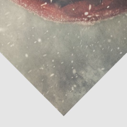 Decoupage Christmas Traditional Santa Claus 薄葉紙 (詳細)