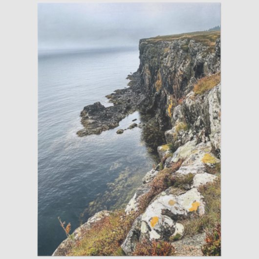 Decoupage Coastal Cliffside in Ireland  薄葉紙 (正面)