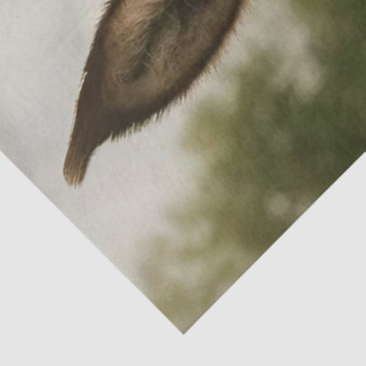 Decoupage Countryside Donkey Red Barn  薄葉紙 (詳細)