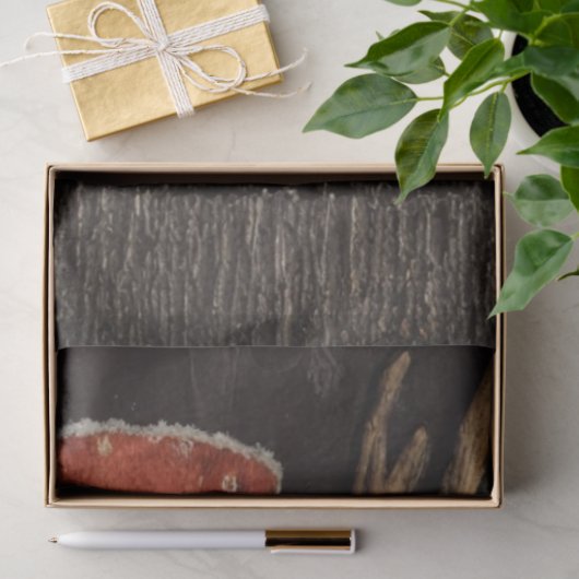 Decoupage Cowboy Santa & Rudolph Peeking  薄葉紙 (ギフト)