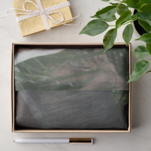 Decoupage Customizable Humorous Horse Print 薄葉紙 (ギフト)